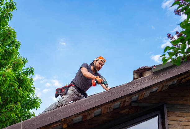 Best Roof Coating and Sealing  in Johnson City, NY