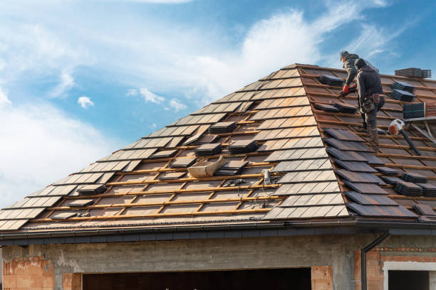 Best Roofing for New Construction  in Johnson City, NY